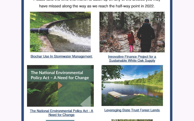 June 2022 Outlook